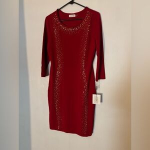 Calvin Klein Scarlet Dress with Metallic Details‎